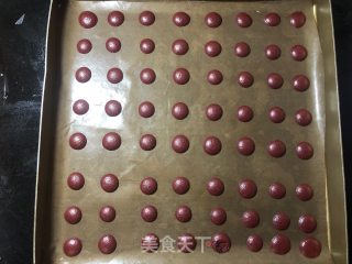 The Polka Dot Cake Roll that Doesn't Crack recipe