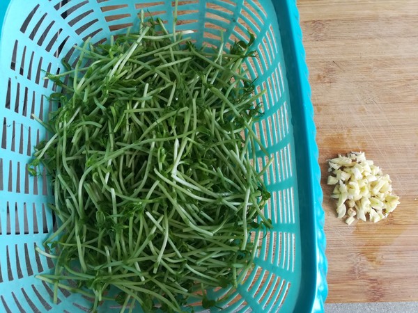 Stir-fried Willow Artemisia Sprouts recipe