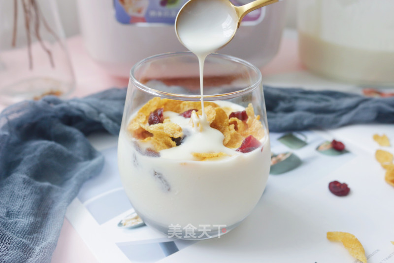 Rice Cooker Version of Children's Yogurt recipe