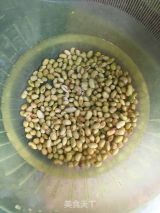 Braised Pork Ribs with Soy Beans recipe