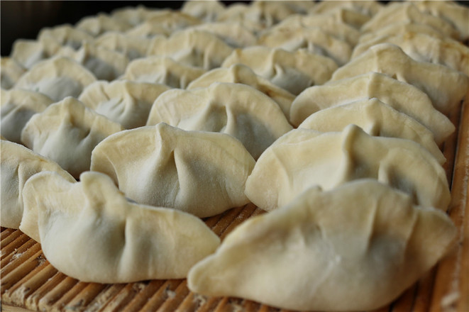 Beef Scallion Dumplings recipe