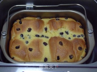 Honey Bean Mexican Loaf recipe
