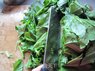 Red-billed Green Parrots that are Planted in Autumn and Harvested in Spring --- Stewed Spinach recipe