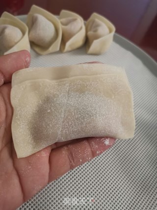 Shrimp Wonton recipe