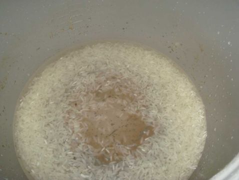 Braised Rice with Mushroom Ribs recipe