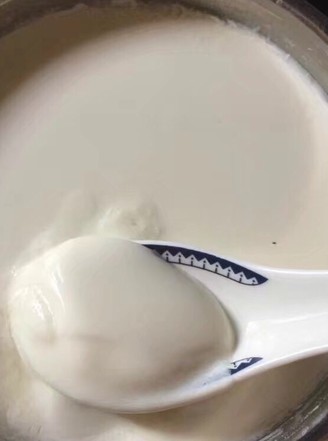 Homemade Yogurt