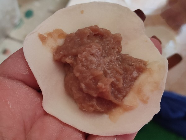 Super Delicious Beef Dumplings ︱ A Bite Full of Soup recipe
