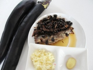 Special Steamed Eggplant recipe