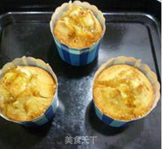 Oatmeal Oatmeal Muffins recipe