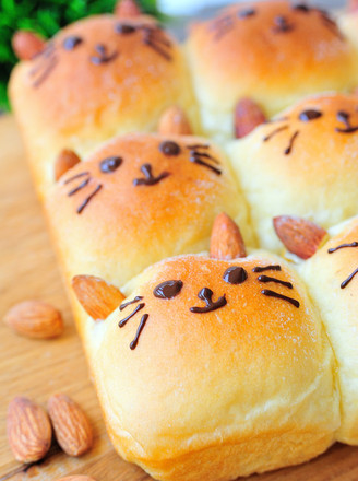 Kitten Squeezes Bread recipe