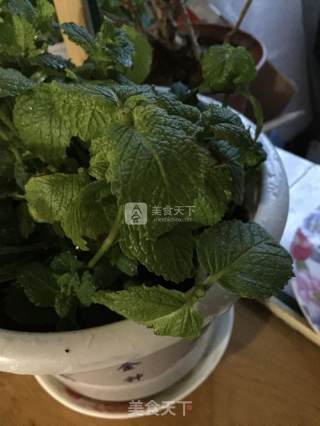 Lemon Mint Tea recipe