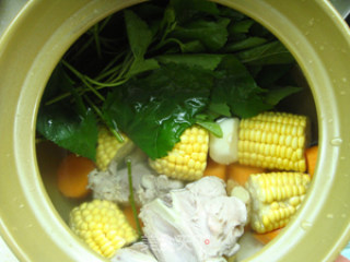 Dispelling Fire and Detoxification --- Mulberry Leaf Carrot Corn Pork Bone Soup recipe