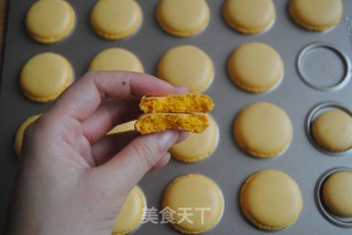 [france] Sally Chicken Macarons recipe