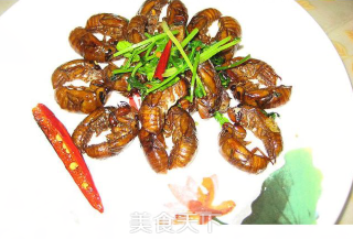 Cumin Cicada recipe