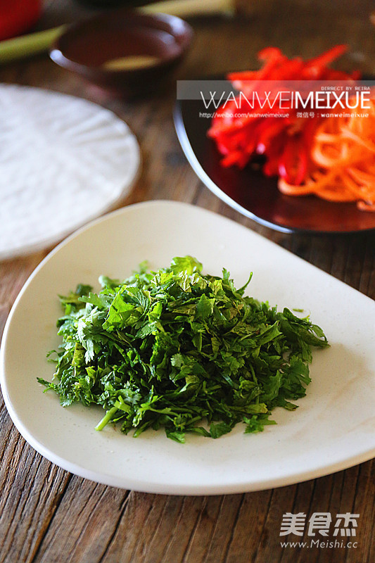 Vietnamese Style Vegetable Rolls recipe