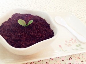 "potted Yogurt" is A Little Refreshing in Summer. recipe