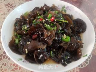 Cold Fungus recipe