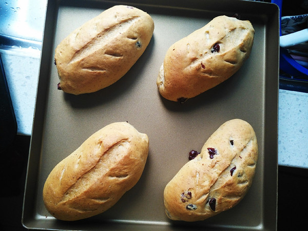 Cranberry Whole Wheat Golden Germ Bread recipe