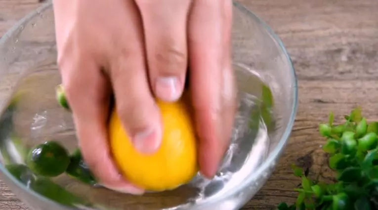 Ice Lemon Sprite recipe