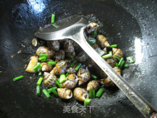 #trust of Beauty#shacha Sauce Flower Snails recipe