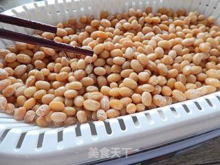 Homemade Natto recipe