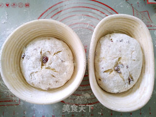 Cranberry Soft European recipe