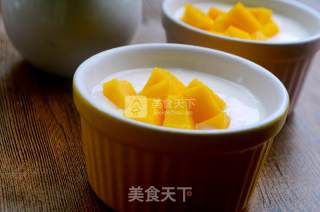 #aca烤明星大赛#yogurt recipe