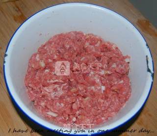 Homemade Garlic Sausage recipe