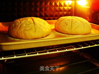 Farmer Slow Rye Soft European Buns recipe