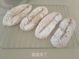 Oatmeal Bread recipe