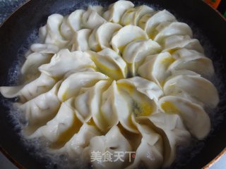 Fennel Beef Fried Dumplings recipe