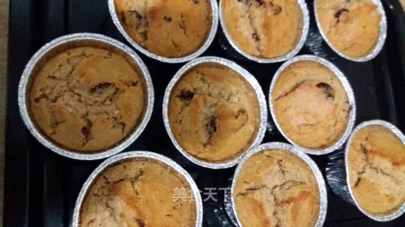 Brown Sugar Cranberry Oat Muffins recipe