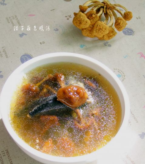 Spicy Mushroom Black Chicken Soup recipe