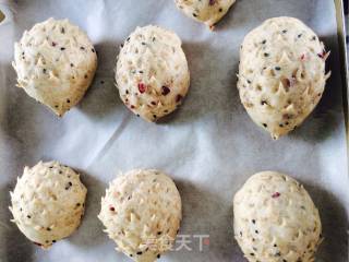 #aca Fourth Session Baking Contest# Making Pornographic Pufferfish Whole Wheat Bread recipe