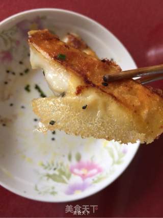 Fried Dumpling recipe