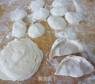 Fried Dumplings with Pork and Onion recipe