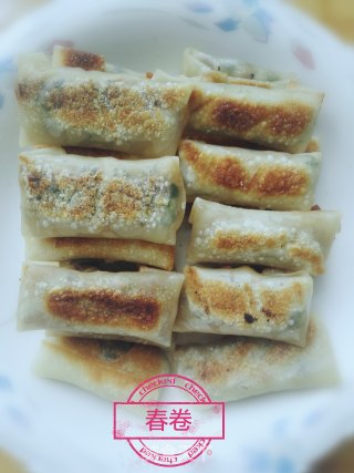 Wonton Skin Spring Rolls recipe