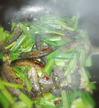 Stir-fried Garlic Seedling recipe