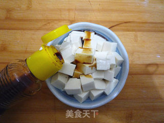 Scallion and Tender Tofu recipe