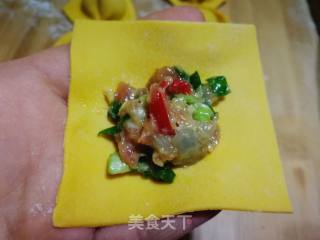 #团圆饭# Leek and Shrimp Wonton recipe