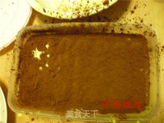 Tiramisu Taught by Italians is Easy to Learn~ recipe