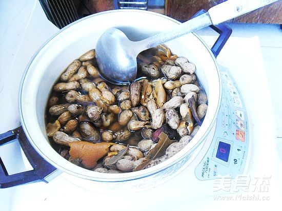 Multi-flavored Boiled Peanuts recipe