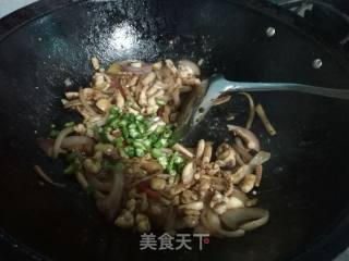 Spicy Fried Squid recipe