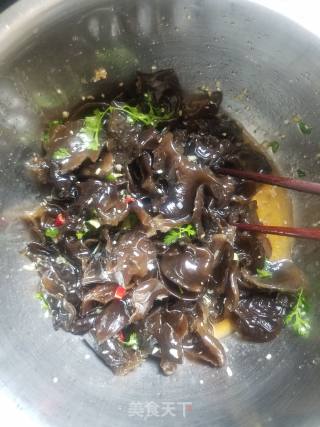 Cold Fungus recipe