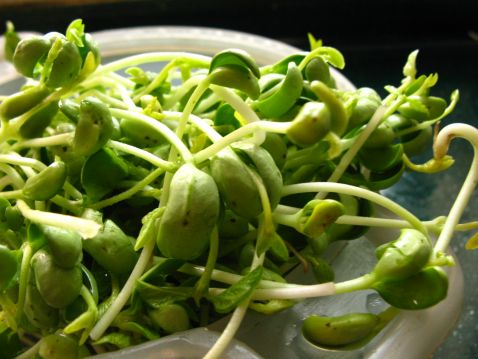 Hawthorn Cake Mixed with Bean Sprouts recipe