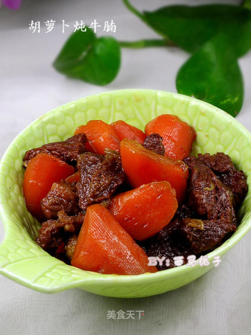 Stewed Beef Brisket with Carrots recipe
