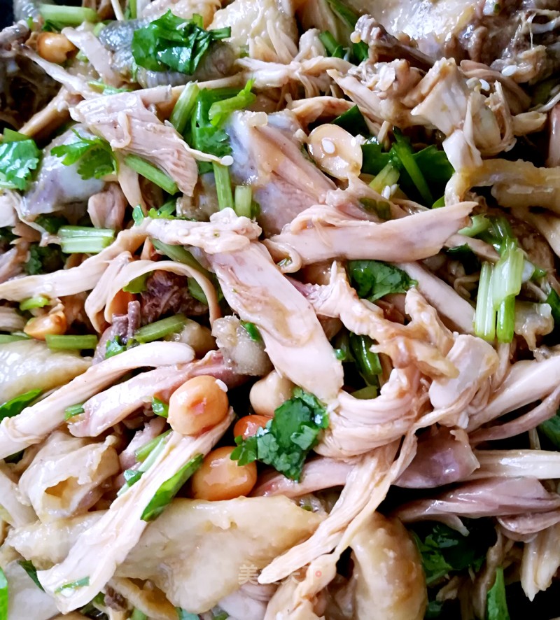 Shredded Chicken with Cold Sauce recipe