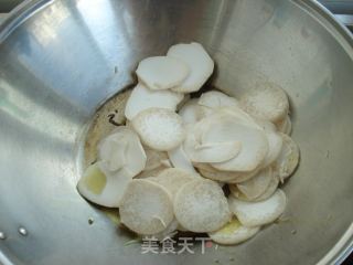 Fried Pleurotus Eryngii with Fungus recipe