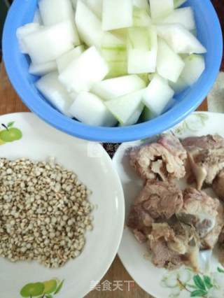 Winter Melon and Barley Bone Soup recipe