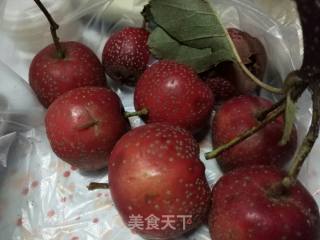 Hawthorn in Syrup recipe